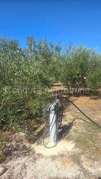 Poljoprivredno zemljište, Prodaja, Vir, Vir