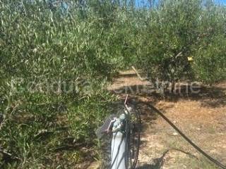 Poljoprivredno zemljište, Prodaja, Vir, Vir