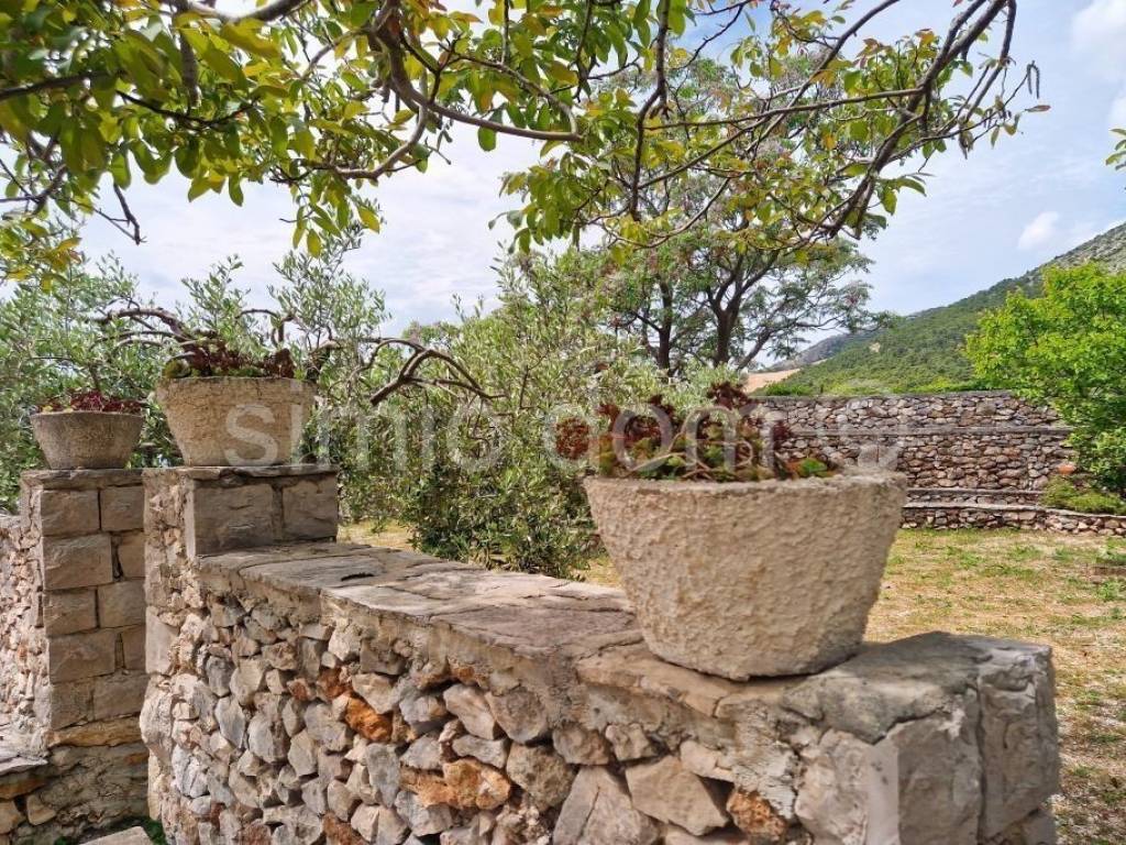Poljoprivredno zemljište, Prodaja, Bol, Bol