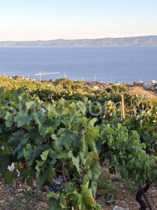 Poljoprivredno zemljište, Prodaja, Bol, Bol