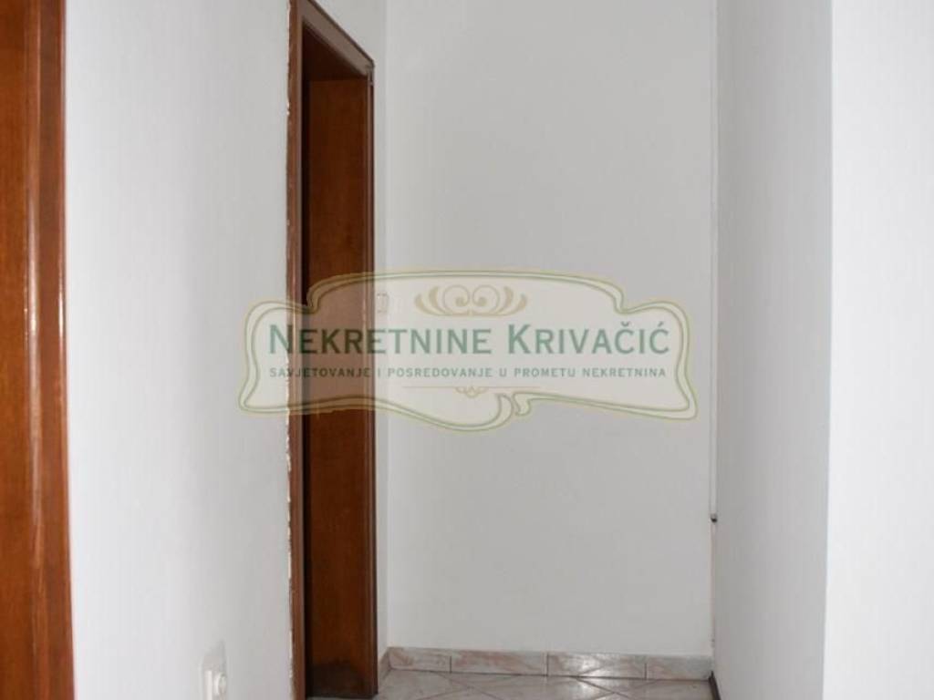 Lokal, Najam, Bjelovar, Bjelovar