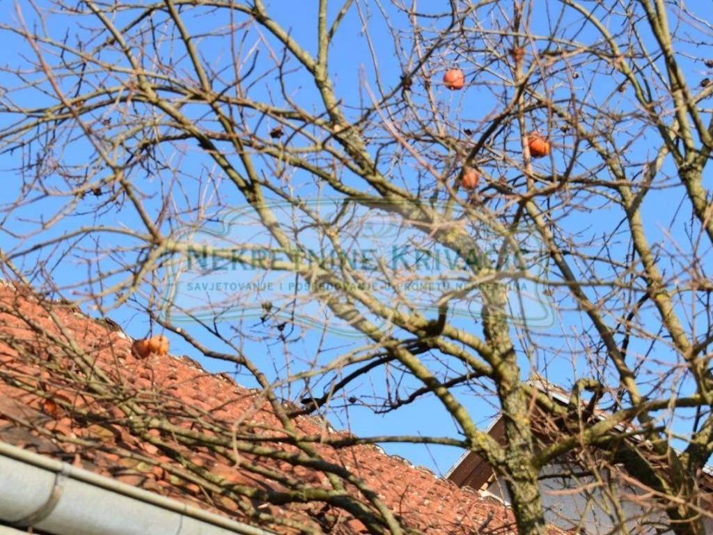Stambeno poslovni objekt, Prodaja, Bjelovar - Okolica, Prespa