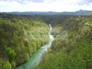 šuma, Prodaja, Josipdol, Munjava