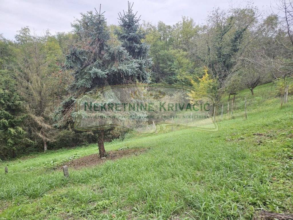 Vikend kuća, Prodaja, Čazma, Bojana