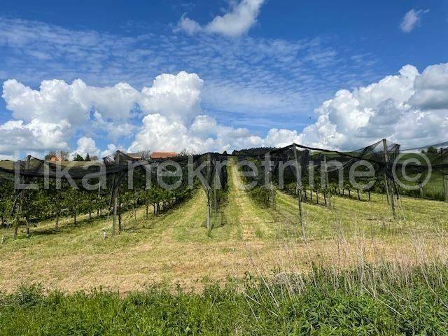 Obiteljsko imanje, Prodaja, Pisarovina, Dvoranci