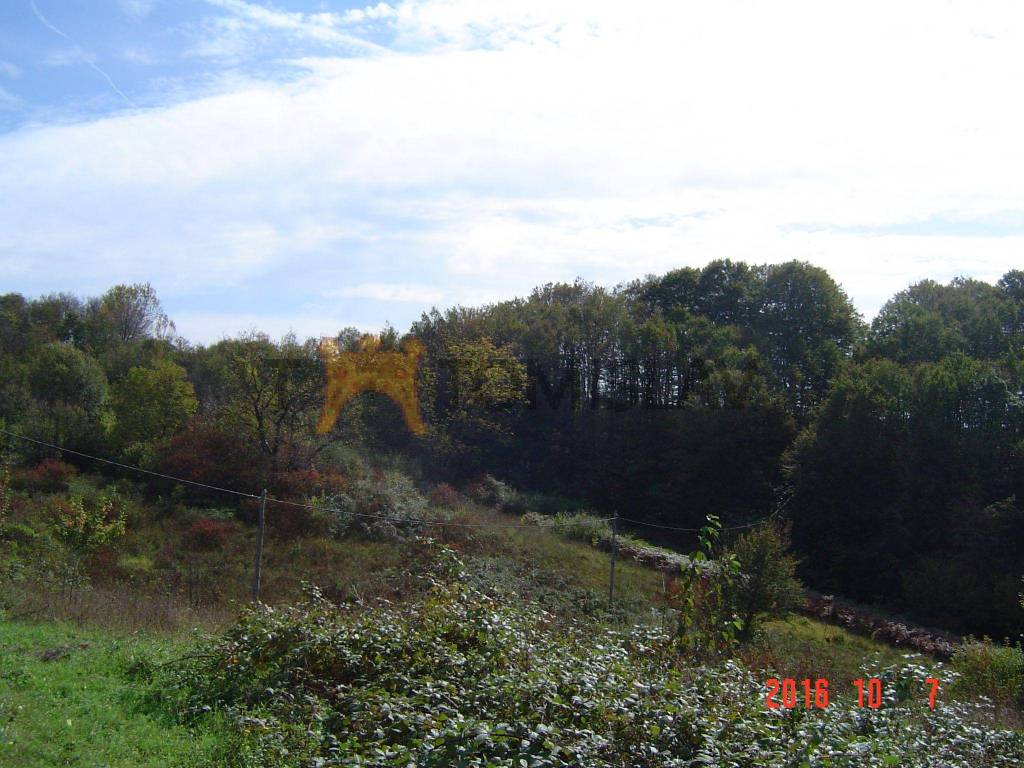 Poljoprivredno zemljiste, Prodaja, Karlovac - Okolica, Udbinja
