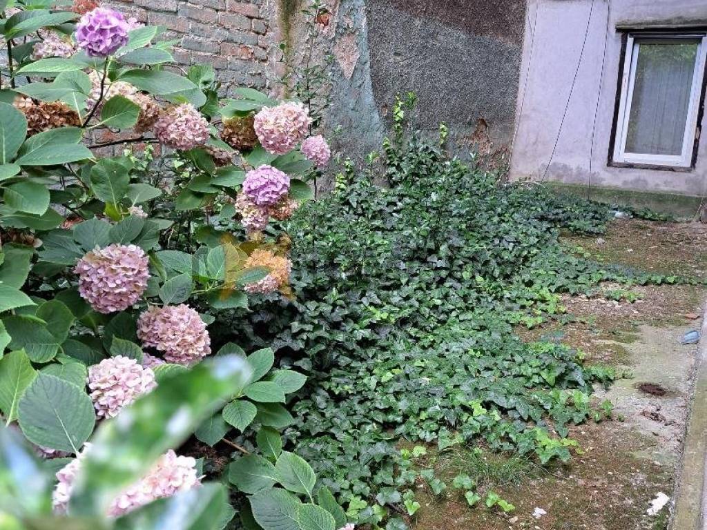 198356766.jpg