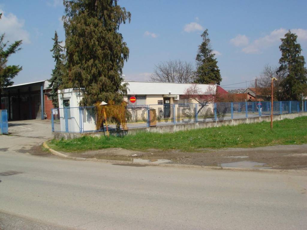 182474478.jpg