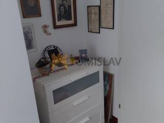 181848805.jpg