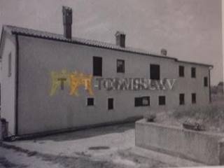 181849617.jpg