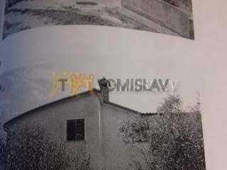 181849620.jpg