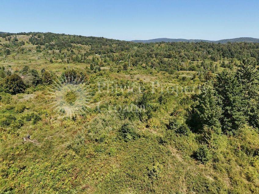 Poljoprivredno zemljište, Prodaja, Slunj, Gornje Primišlje
