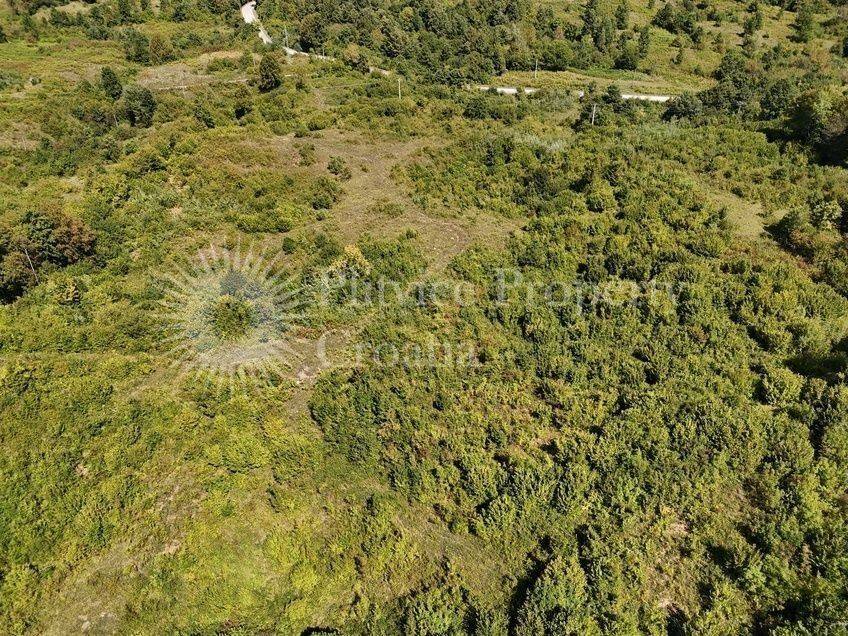 Poljoprivredno zemljište, Prodaja, Slunj, Gornje Primišlje