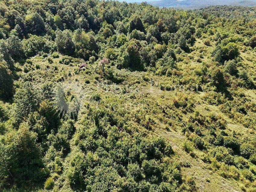 Poljoprivredno zemljište, Prodaja, Slunj, Gornje Primišlje
