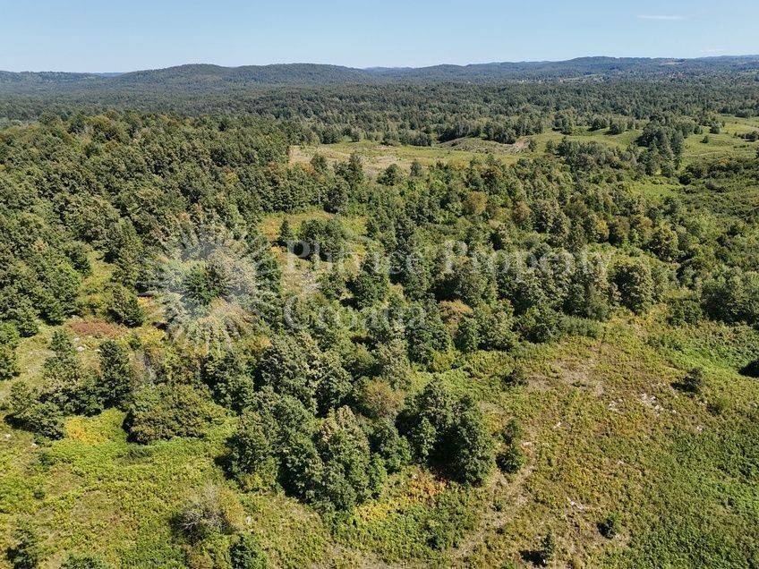 Poljoprivredno zemljište, Prodaja, Slunj, Gornje Primišlje