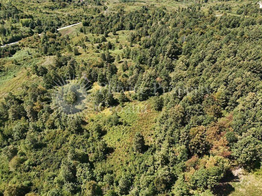 Poljoprivredno zemljište, Prodaja, Slunj, Gornje Primišlje