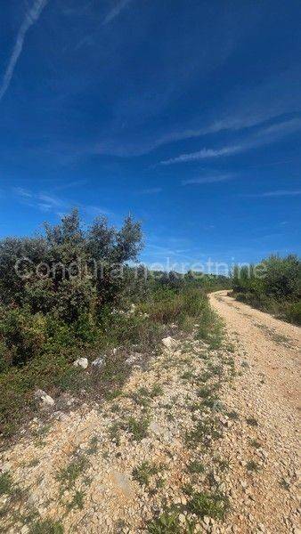 Zemljište - ostalo, Prodaja, Vir, Vir