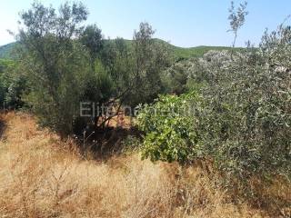 Poljoprivredno zemljište, Prodaja, Mljet, Babino Polje