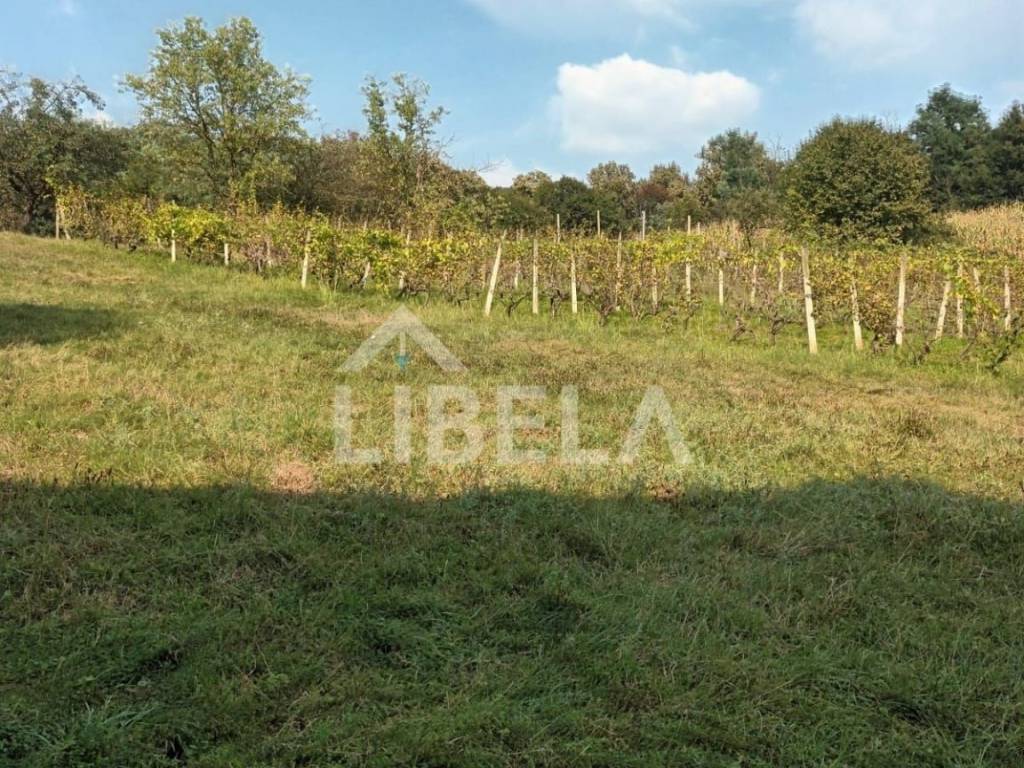 Poljoprivredno zemljište, Prodaja, Kutina, Kutina