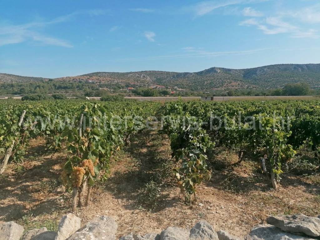 Poljoprivredno zemljište, Prodaja, Šibenik, Šibenik