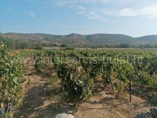 Poljoprivredno zemljište, Prodaja, Šibenik, Šibenik