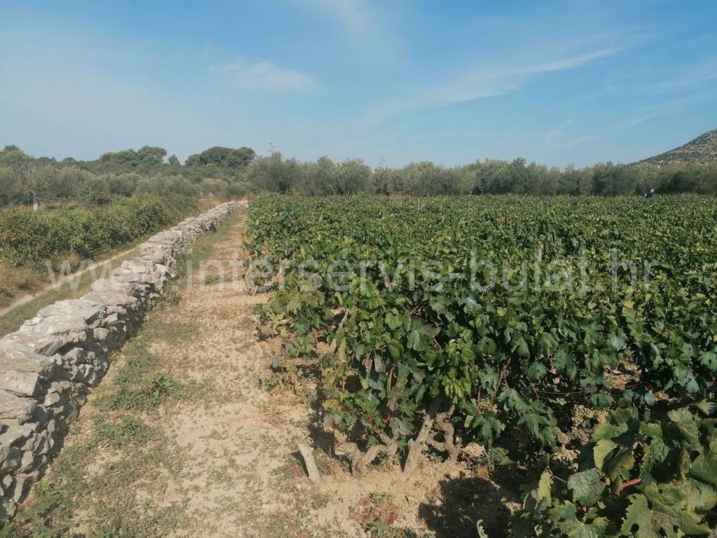 Poljoprivredno zemljište, Prodaja, Šibenik, Šibenik
