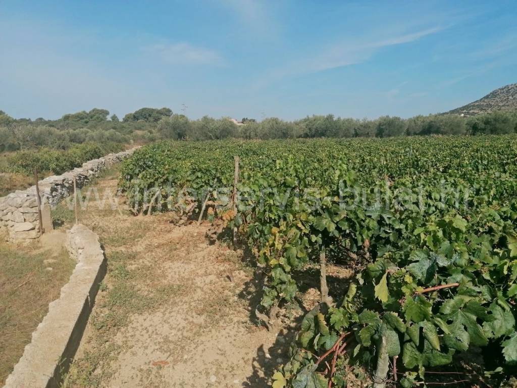 Poljoprivredno zemljište, Prodaja, Šibenik, Šibenik