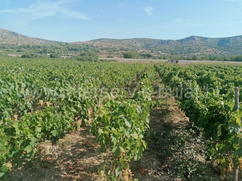 Poljoprivredno zemljište, Prodaja, Šibenik, Šibenik