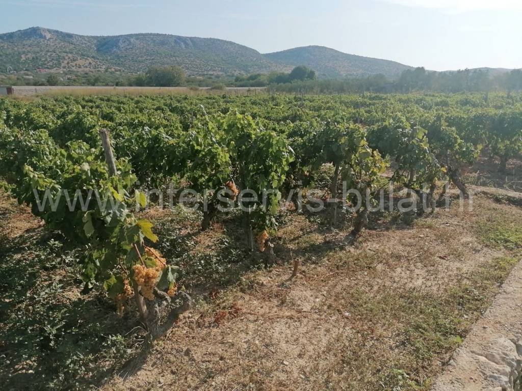 Poljoprivredno zemljište, Prodaja, Šibenik, Šibenik
