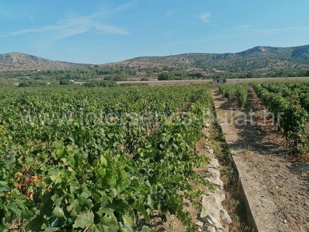 Poljoprivredno zemljište, Prodaja, Šibenik, Šibenik