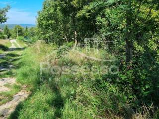 Buzet, Roc
