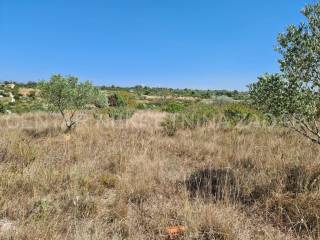 Poljoprivredno zemljište, Prodaja, Zadar, Zadar