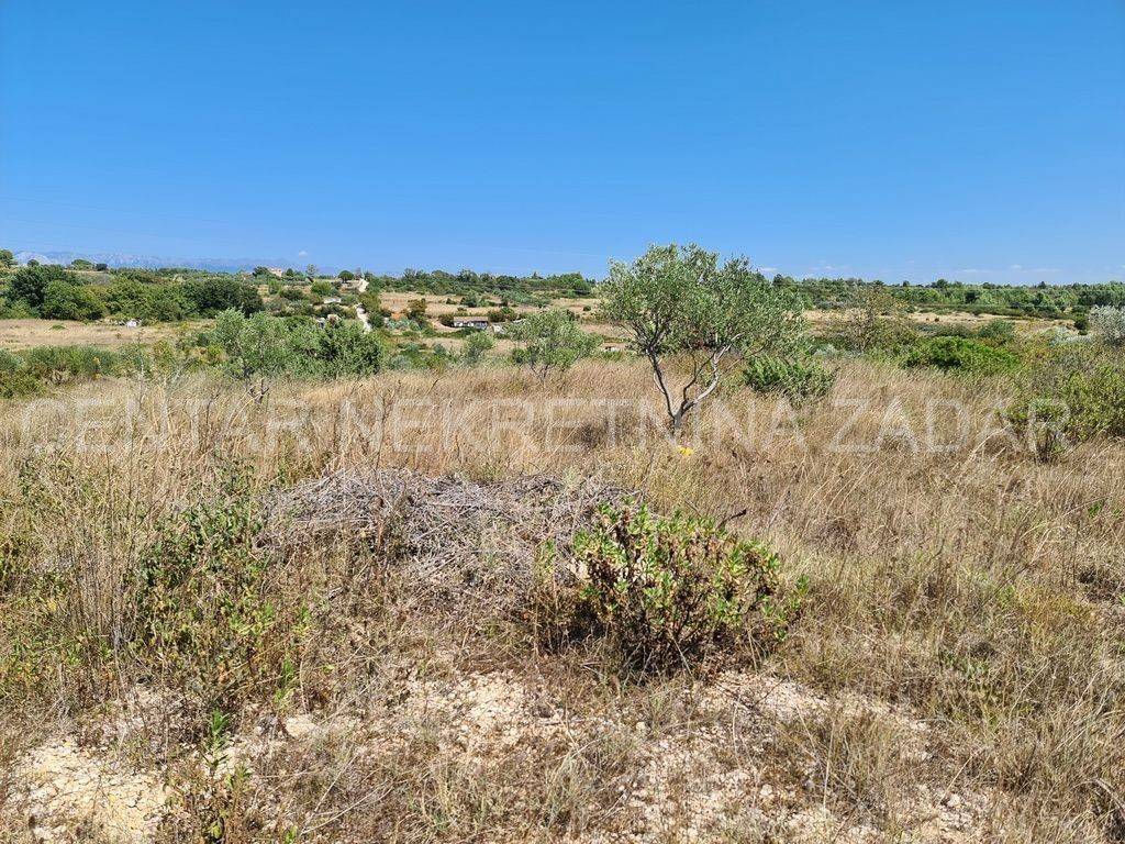 Poljoprivredno zemljište, Prodaja, Zadar, Zadar