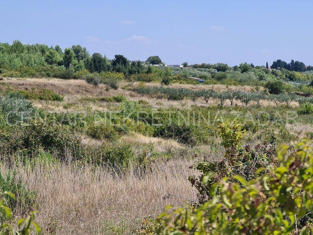 Poljoprivredno zemljište, Prodaja, Zadar, Zadar