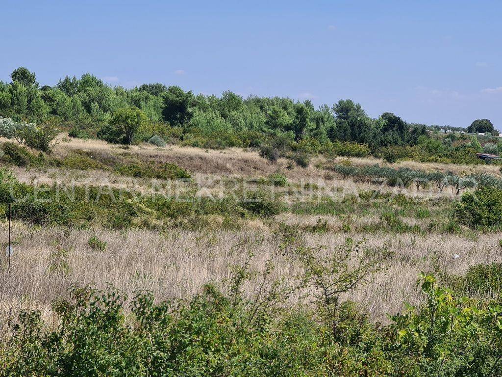 Poljoprivredno zemljište, Prodaja, Zadar, Zadar