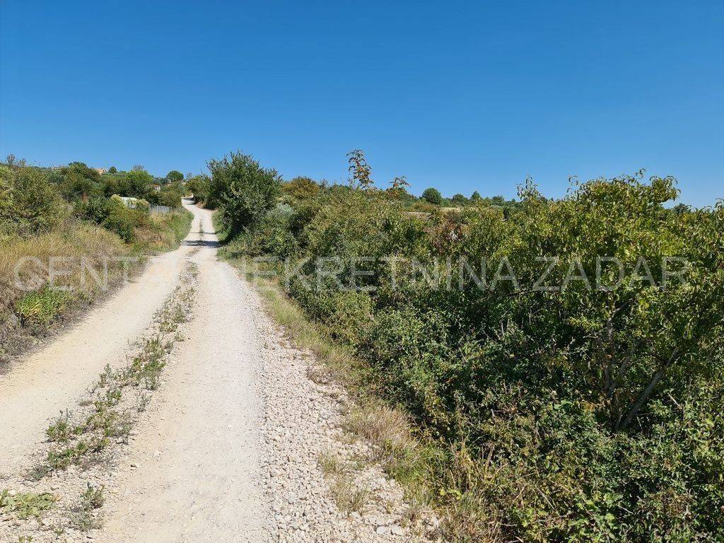 Poljoprivredno zemljište, Prodaja, Zadar, Zadar