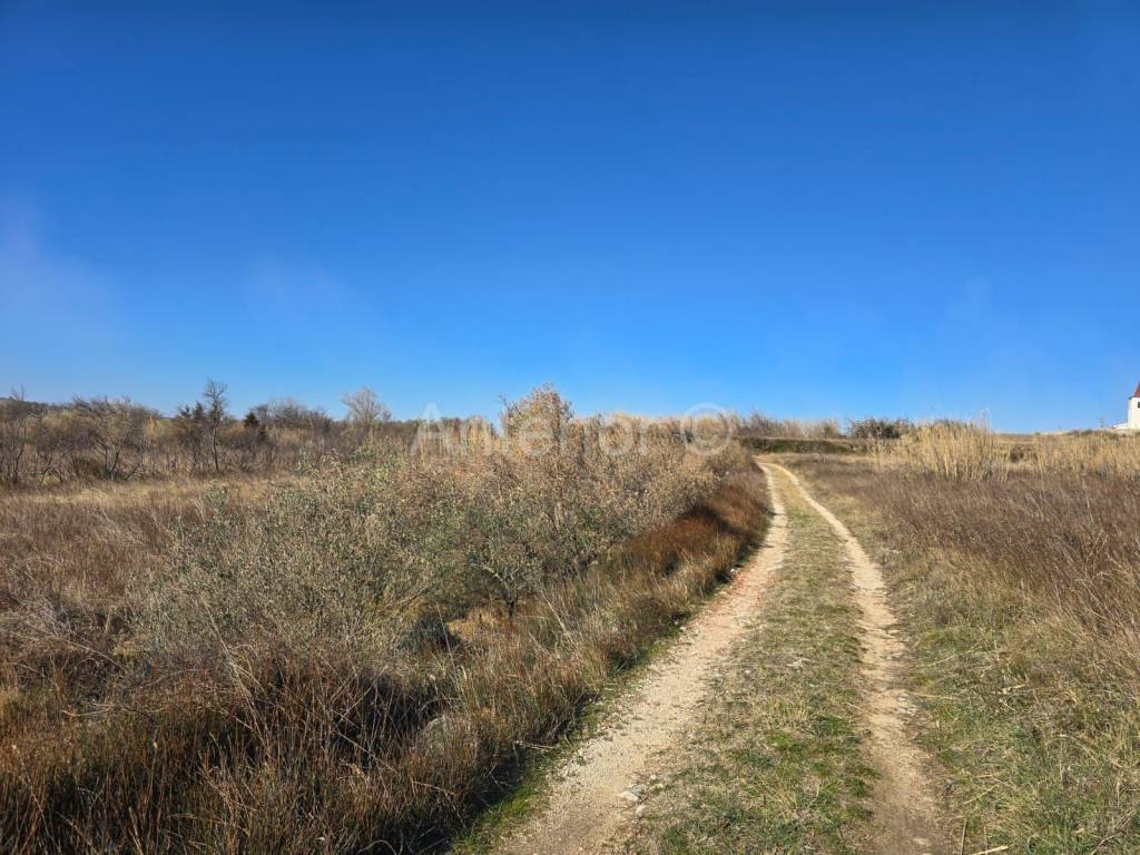 Poljoprivredno zemljište, Prodaja, Vrsi, Vrsi