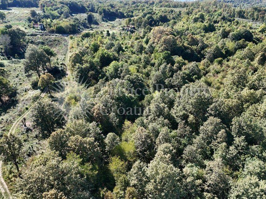Građevinsko mješovito, Prodaja, Rakovica, Kordunski Ljeskovac