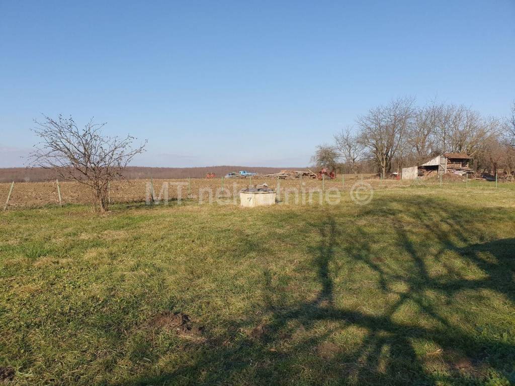 Samostojeća kuća, Prodaja, Velika Pisanica, Babinac