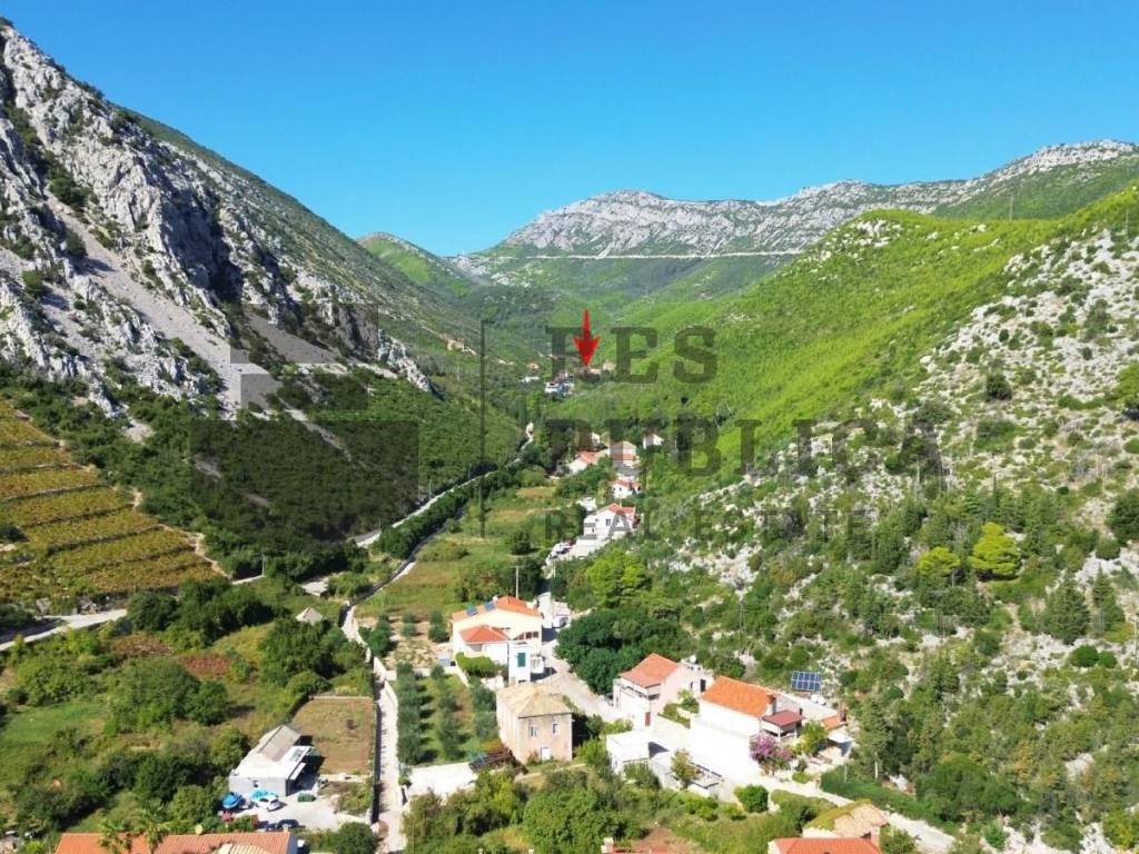 Orebic, Trstenik