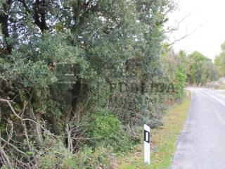 Gradjevinsko mjesovito, Prodaja, Orebic, Pijavicino