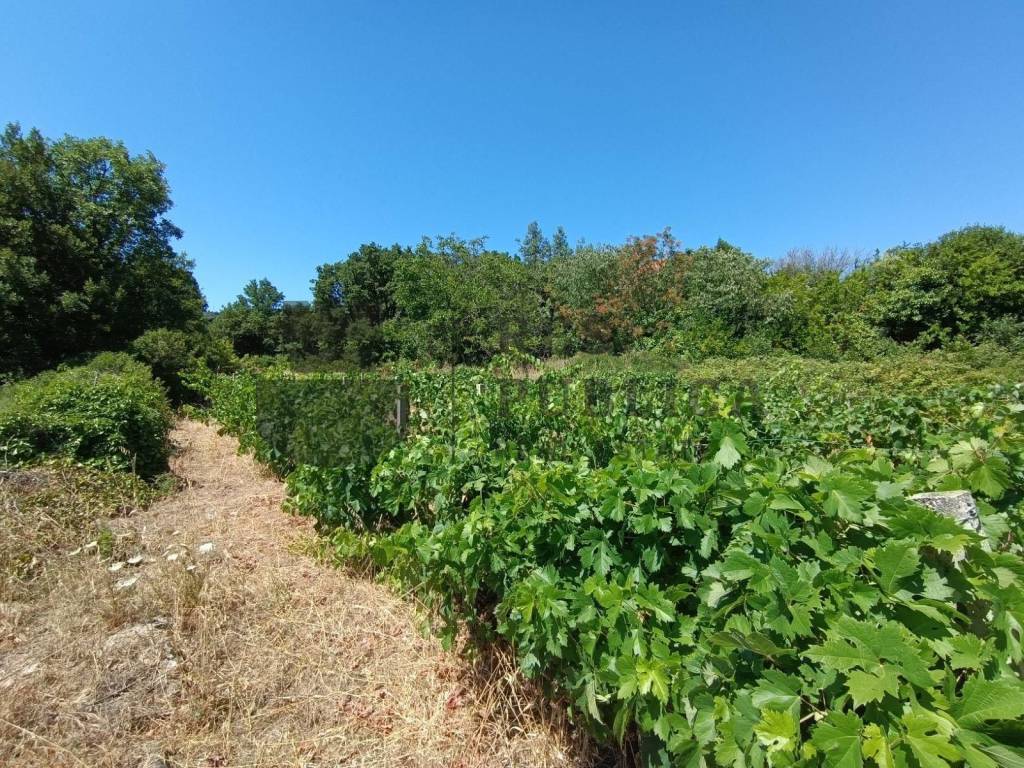 Kamena kuca, Prodaja, Janjina, Janjina