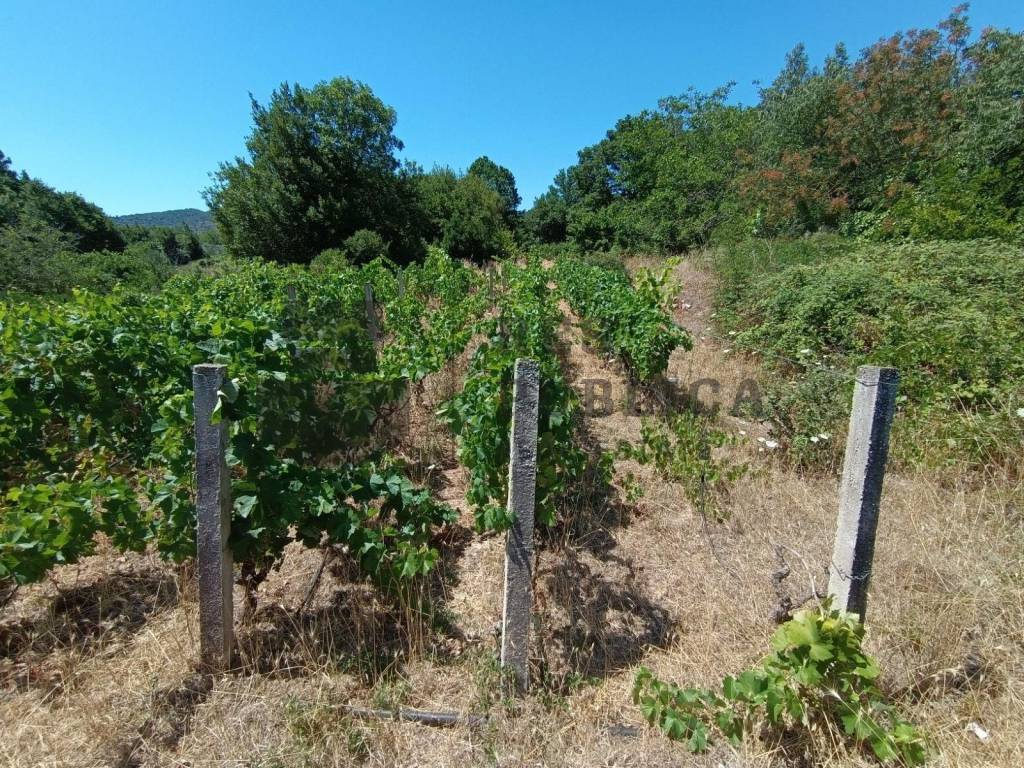 Kamena kuca, Prodaja, Janjina, Janjina