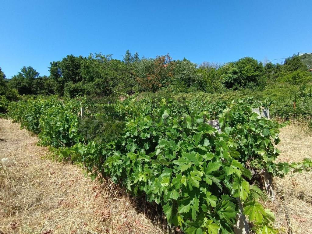 Kamena kuca, Prodaja, Janjina, Janjina