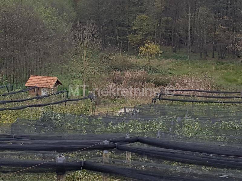 Obiteljsko gospodarstvo, Prodaja, Rovišće, Kovačevac