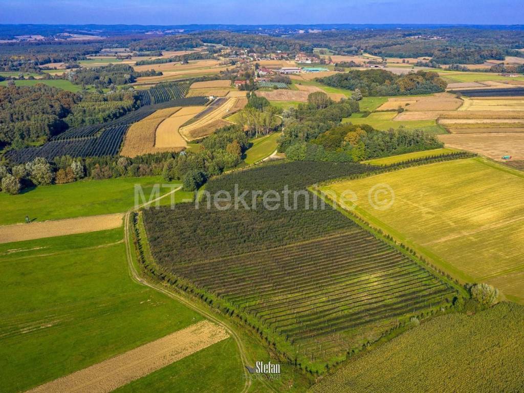 Obiteljsko gospodarstvo, Prodaja, Rovišće, Kovačevac