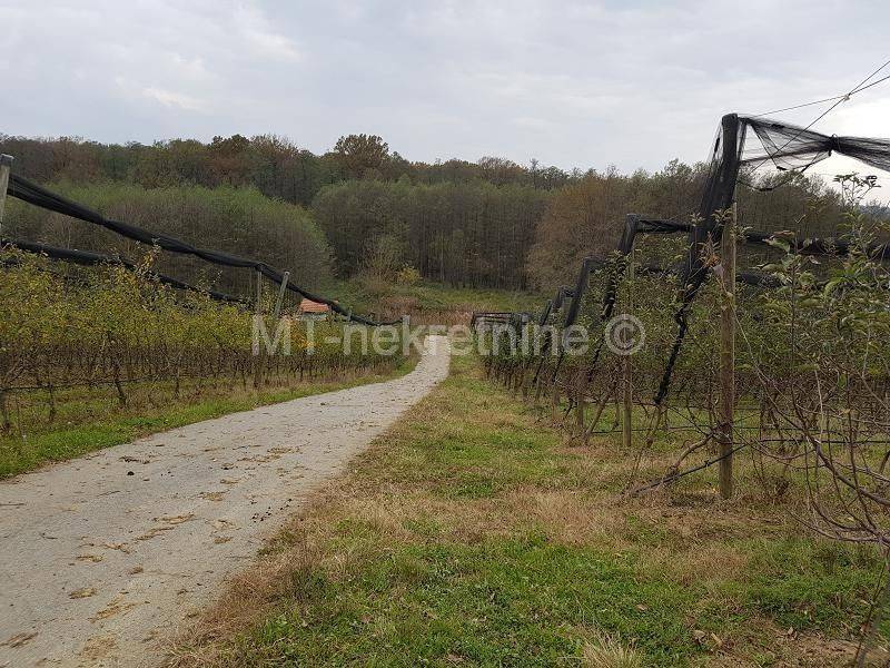 Obiteljsko gospodarstvo, Prodaja, Rovišće, Kovačevac