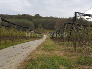 Obiteljsko gospodarstvo, Prodaja, Rovišće, Kovačevac