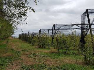 Obiteljsko gospodarstvo, Prodaja, Rovišće, Kovačevac
