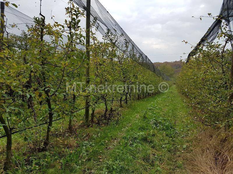 Obiteljsko gospodarstvo, Prodaja, Rovišće, Kovačevac